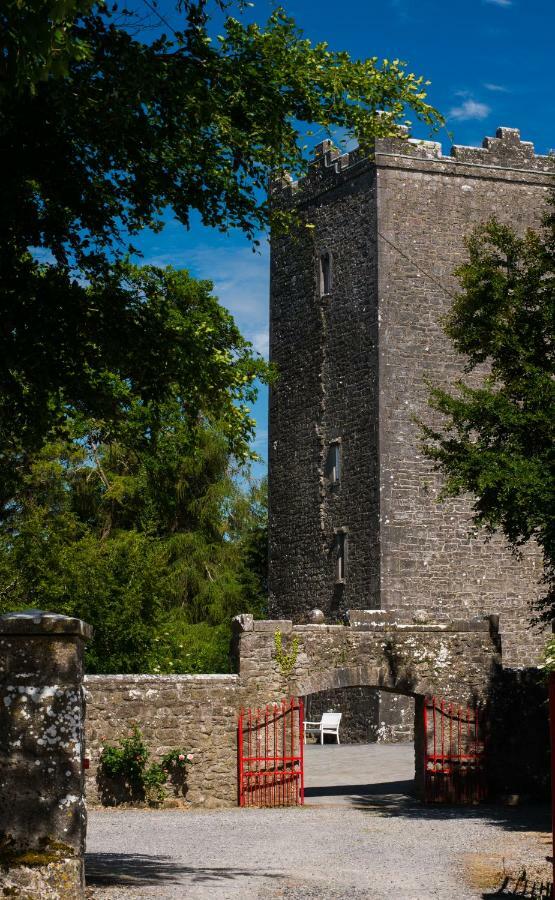 Ross Castle B&B Oldcastle Eksteriør billede